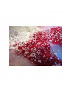 Embalagem CELOX 15 Grânulos Hemostáticos 2