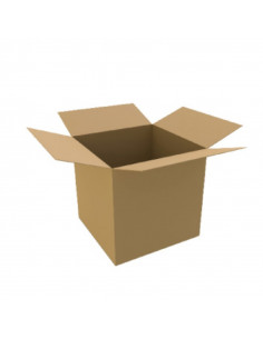 Caixa 350x250x200mm Cartão Duplo Pack (10 unidades)