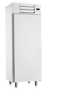 Armário Conservação de Congelados ATG 600 N PO