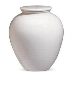 Urna de Porcelana (sem desenho) CEAU211