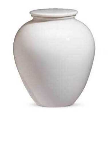 Urna de Porcelana (sem desenho) CEAU211