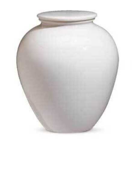 Urna de Porcelana (sem desenho) CEAU211