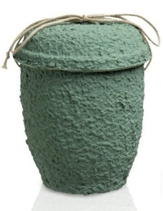 Urna Biodegradável Verde CEAU105