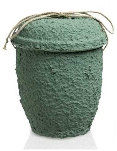 Urna Biodegradável Verde CEAU105