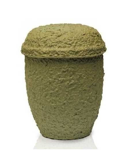 Urna Biodegradável Caqui CEAU104