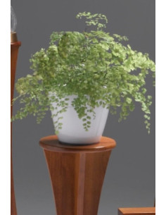 Suporte Vaso de Flores Canadá CEAA431