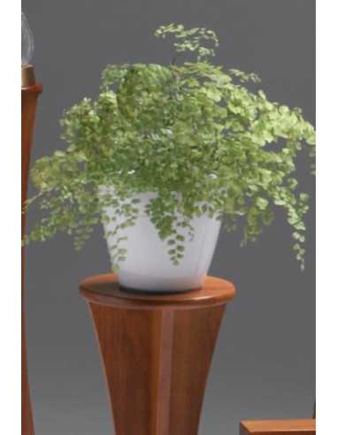 Suporte Vaso de Flores Canadá CEAA431