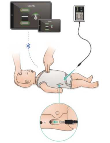 diagrama Little Baby QCPR (Pele escura) 133-03050