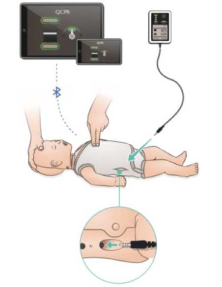 diagrama Little Baby QCPR (Pele escura) 133-03050 diagrama Little Baby QCPR (Pele escura) 133-03050