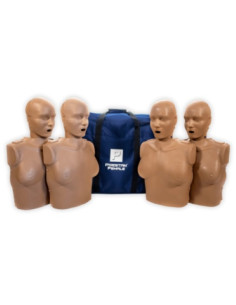 Torsos Femininos Prestan (4 unidades cor escura) PP-AFM-400M-DS