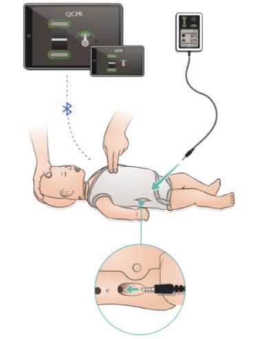 diagrama Little Baby QCPR (pele clara) 133-01050