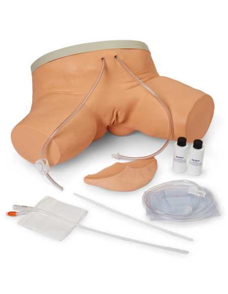 Simulador Algaliação Feminino LF00856