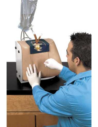 Simulador Injecção Espinhal